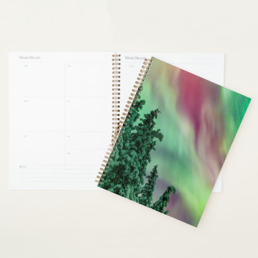 Noordelijke lichten | Winter in Glennallen, Alaska Planner (Display)