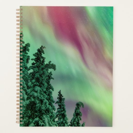 Noordelijke lichten | Winter in Glennallen, Alaska Planner (Voorkant)