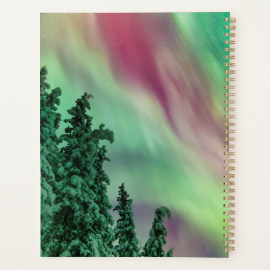 Noordelijke lichten | Winter in Glennallen, Alaska Planner (Achterkant)