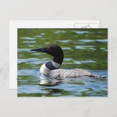 Noordelijke Loon 2 Briefkaart (Voorkant / Achterkant)