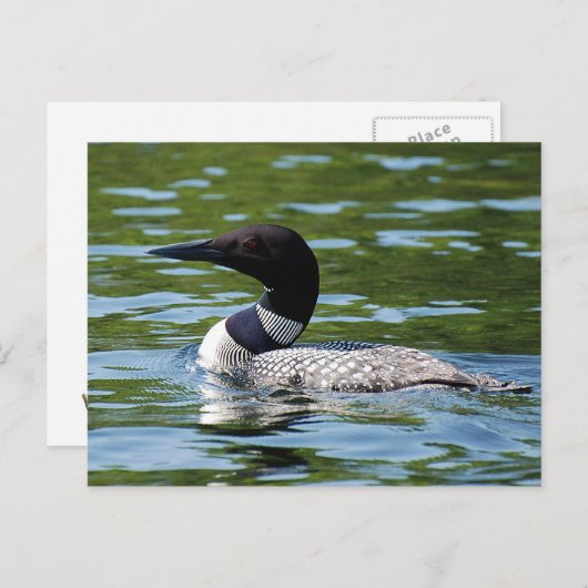 Noordelijke Loon 2 Briefkaart (Voorkant / Achterkant)