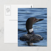 Noordelijke Loon 3 Briefkaart (Voorkant / Achterkant)