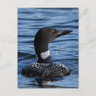 Noordelijke Loon 3 Briefkaart