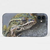Noordelijke luipaardkikker, Doorzichtig Eiland, Case-Mate iPhone Case (Achterkant (horizontaal))
