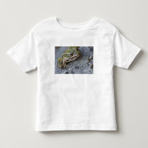Noordelijke luipaardkikker, Doorzichtig Eiland, Kinder Shirts