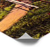 Noordelijke Michigan Birch Trees in het voorjaar Poster (Hoek)