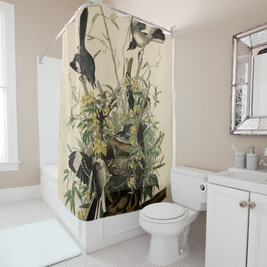 Noordelijke Mocking Bird, Audubon's Birds of Ameri Douchegordijn (In situ)