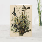 Noordelijke Mocking Bird, Audubon's Birds of Ameri Kaart (Voorkant)