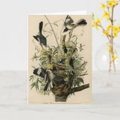 Noordelijke Mocking Bird, Audubon's Birds of Ameri Kaart (Gele Bloem)