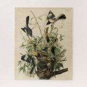 Noordelijke Mocking Bird, Audubon's Birds of Ameri Legpuzzel (Verticaal)