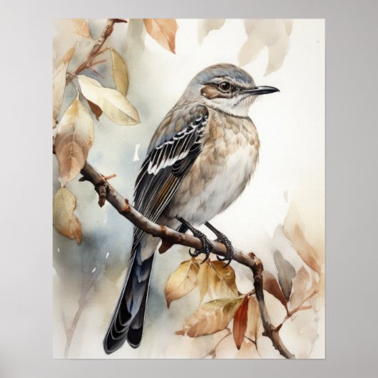 Noordelijke Mockingbird Bird Art Print Poster (Voorkant)