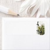 Noordelijke Mockingbird door Audubon Etiket (Insitu)