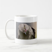 Noordelijke Mockingbird neemt een Bow Apparel & Gi Koffiemok (Links)