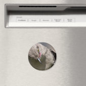 Noordelijke Mockingbird neemt een Bow Apparel & Gi Magneet (Insitu (Vaatwasser))