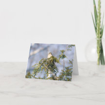 Noordelijke Mockingbird Notecard