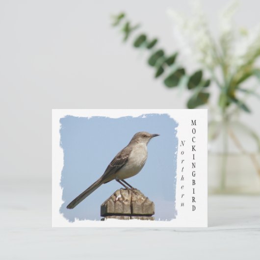 Noordelijke Mockingvogel Briefkaart (Staand voorkant)
