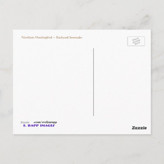 Noordelijke Mockingvogel Briefkaart (Achterkant)