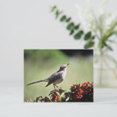 Noordelijke Mockingvogel Briefkaart (Staand voorkant)