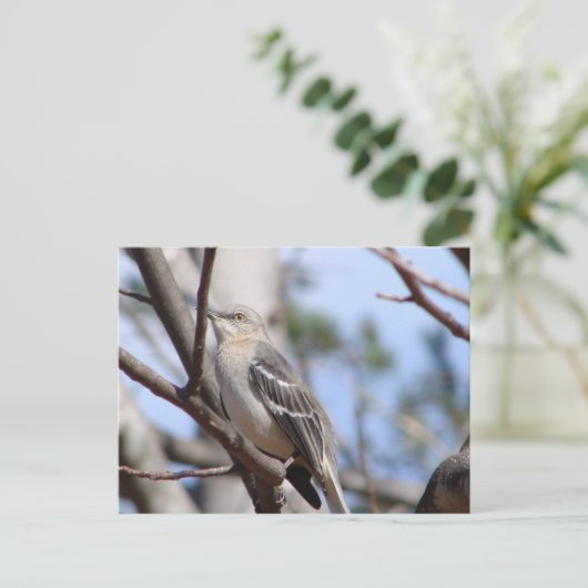 Noordelijke Mockingvogel Briefkaart (Staand voorkant)