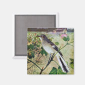 Noordelijke Mockingvogel Magneet (Voorkant / Achterkant)