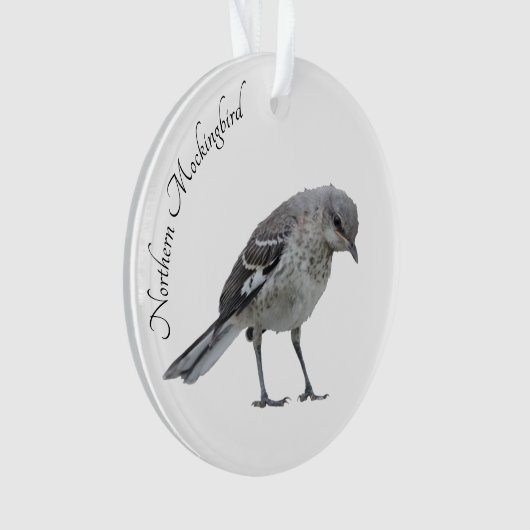 Noordelijke Mockingvogel Ornament (voorkant)
