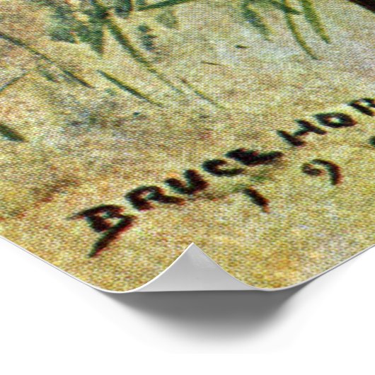 Noordelijke Mockingvogel Poster (Hoek)