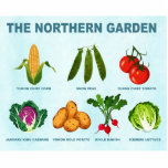 noordelijke moestuin fotobeeldje magneet<br><div class="desc">Een humoristische kijk op tuinieren in plaatsen met koude klimaten zoals Alaska, Minnesota en Canada. Je kunt niet alles kweken, maar probeer die hier geïllustreerd: Yukon Chief zoete maïs, sneeuwerwten, Yukon Chief tomaat, januari King kool, Yukon Gold aardappel, Icicle radijs, en ijsbergsla. Elk is gelabeld en tekst lezen, "DE NOORDELIJKE...</div>
