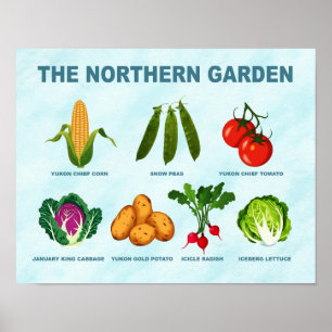 noordelijke moestuin poster