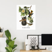 Noordelijke Oriole, John Audubon Poster (Thuiskantoor)