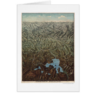 Noordelijke Pacifische geelsteen 1895