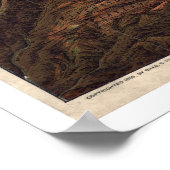 Noordelijke Pacifische geelsteen 1895 Poster (Hoek)