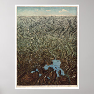 Noordelijke Pacifische geelsteen 1895 Poster