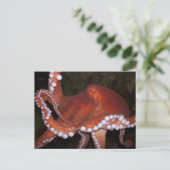 Noordelijke Pacifische octopus Briefkaart (Staand voorkant)