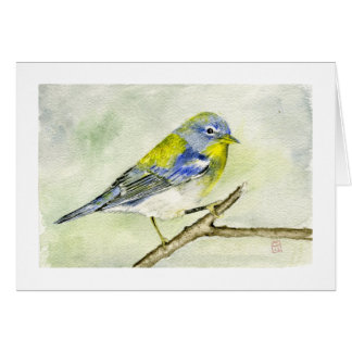 Noordelijke Parula
