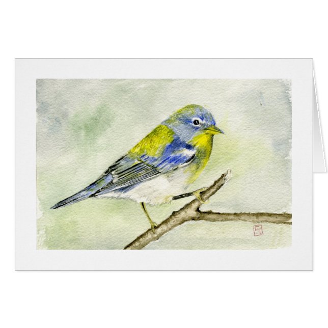 Noordelijke Parula (Voorkant Horizontaal)