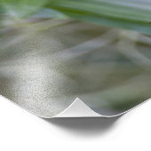 Noordelijke Parula americana) Foto Afdruk (Hoek)