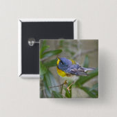 Noordelijke Parula americana) Vierkante Button 5,1 Cm (Voorkant /achterkant)