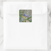 Noordelijke Parula americana) Vierkante Sticker (Tas)