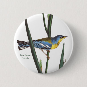 Noordelijke Parula, Audubon, Birder Birdwatcher, B Ronde Button 5,7 Cm