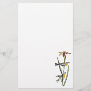 Noordelijke Parula, John Audubon Briefpapier