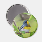 Noordelijke Parula Magneet (Voorkant / Achterkant)