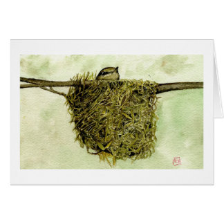 Noordelijke Parula Nest