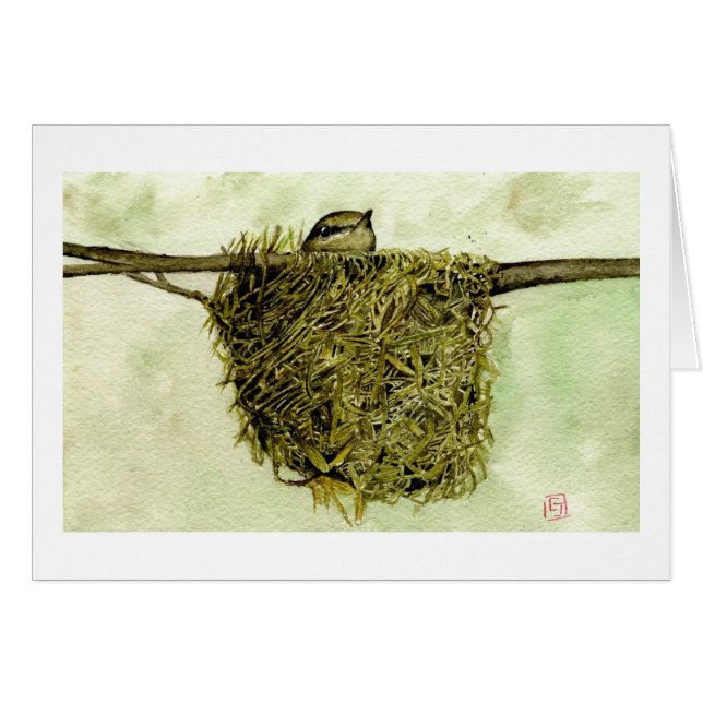 Noordelijke Parula Nest (Voorkant Horizontaal)