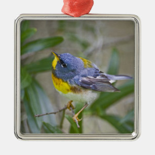 Noordelijke Parula (Parula americana) Metalen Ornament