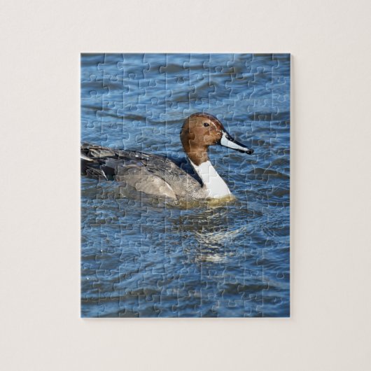 Noordelijke Pijlstaart Legpuzzel (Verticaal)