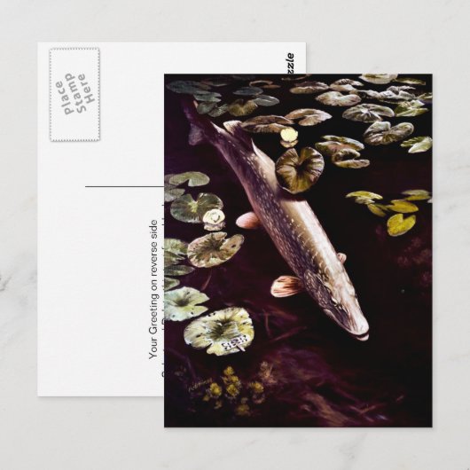 Noordelijke Pike Briefkaart (Voorkant / Achterkant)