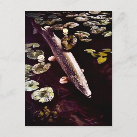 Noordelijke Pike Briefkaart (Voorkant)