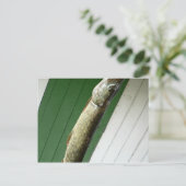 Noordelijke Pike Briefkaart (Staand voorkant)