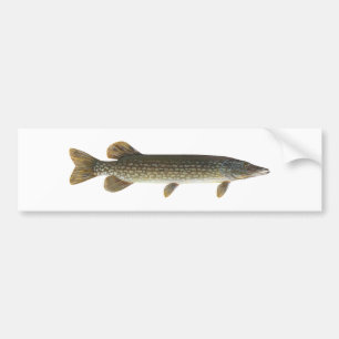 Noordelijke Pike Bumpersticker