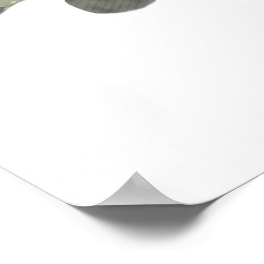 Noordelijke Pike Poster (Hoek)